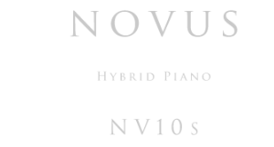NV10S