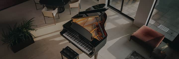 GXシリーズの画像