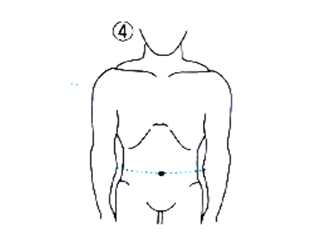 腹囲の正しい測り方