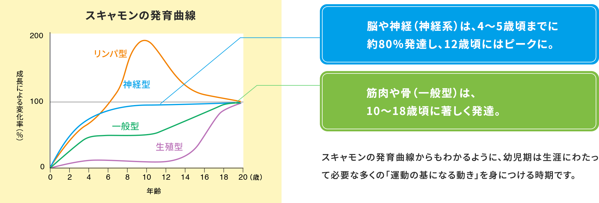 スキャモンの発育曲線