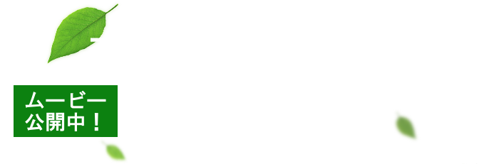 森の中の緑の工房 カワイ竜洋工場