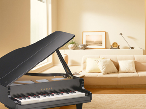 ラグジュアリーミニピアノ