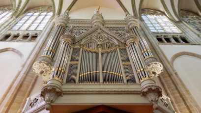 organ01