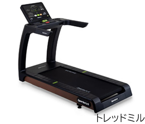 fitnessroom-mansion_300×255_2