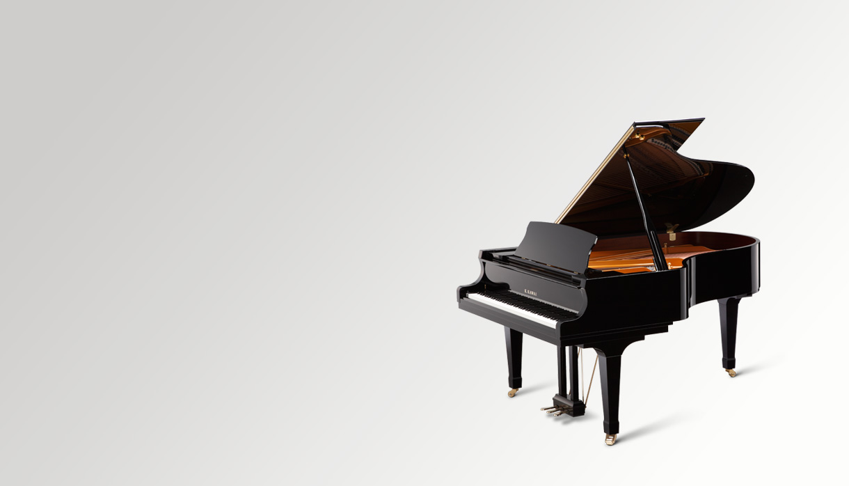 GX-5|????|??????? ?????????